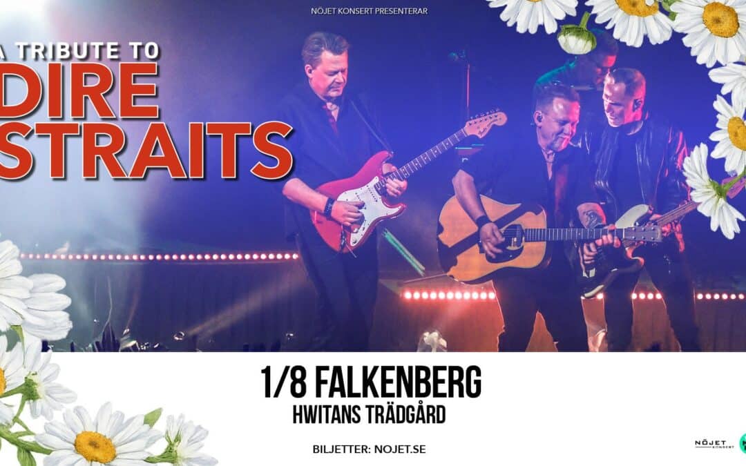 A Tribute to Dire Straits